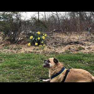 Meet your Posher, Ivette